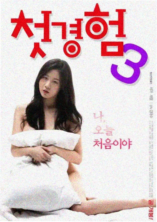 555电影netflix最新剧午夜回声第二季海报